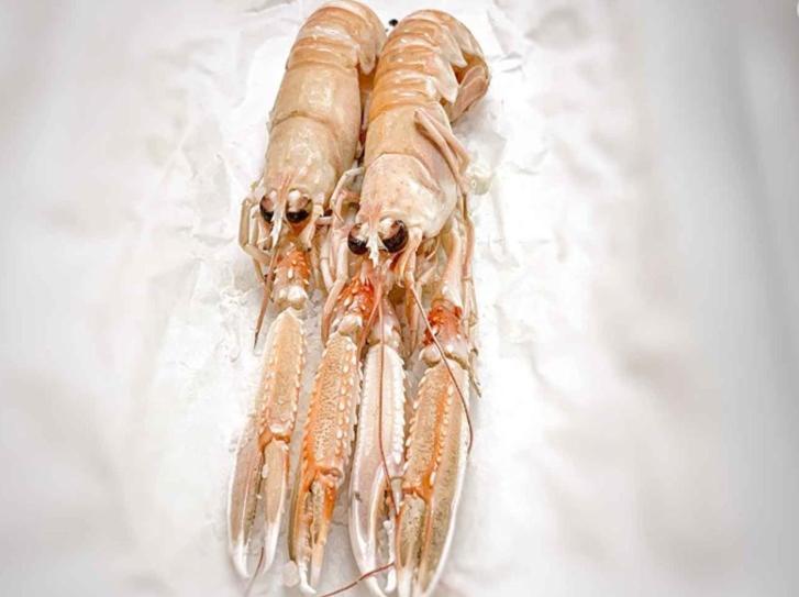 Ristorante Hotel Lucia - 100 Mt Dal Mare Giulianova Kültér fotó